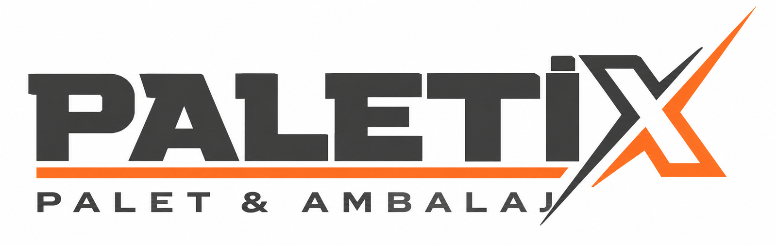 PALETİX Logo